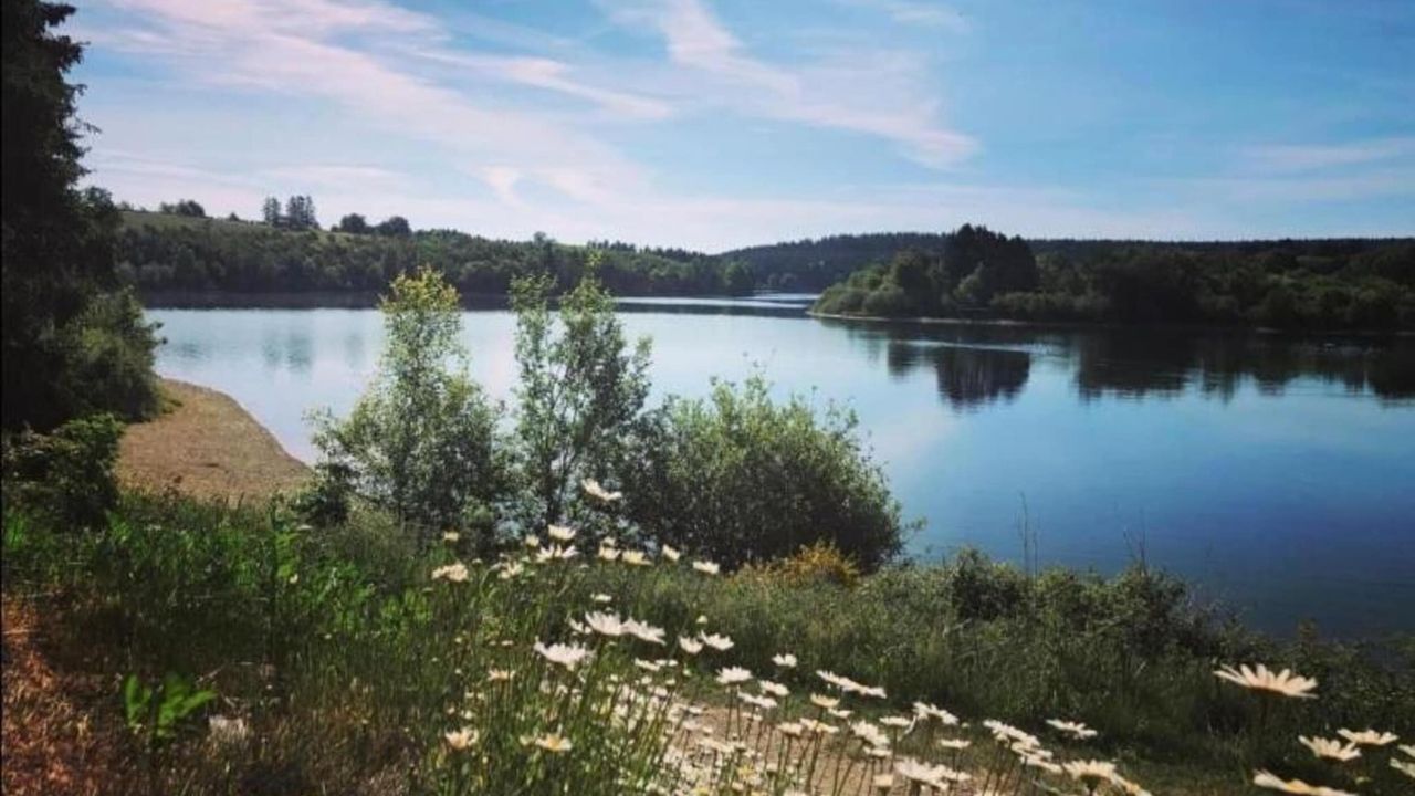 AreaSummer20KM AreaSummer20KM